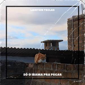 Só o Ibama Pra Pegar