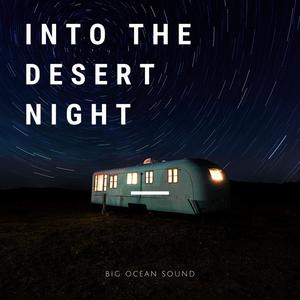 Into the Desert Night(feat. Vaydra)