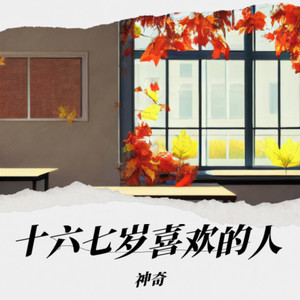 十六七岁喜欢的人