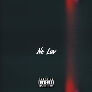 No Luv (Explicit)