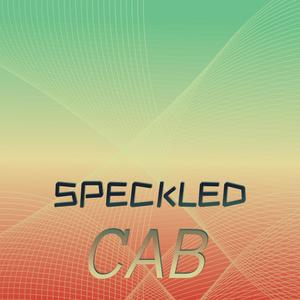 Speckled Cab