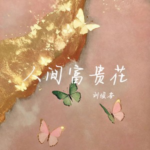 人间富贵花 (伴奏)