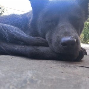 你唱的没我好 (Demo)