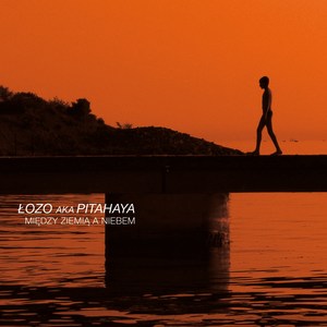 Wrooklyn (Feat. DJ Danek) (Remix)