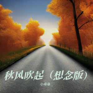 秋风吹起 (想念版伴奏)