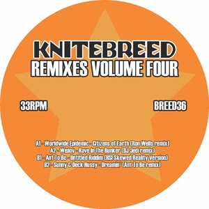 Citizens Of Earth (Ron Wells Remix)