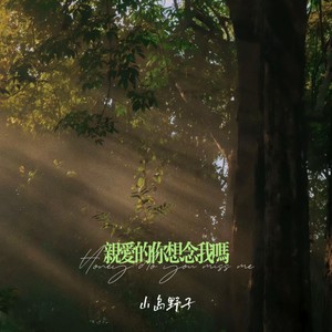 亲爱的你想念我吗（想念）