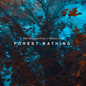 Forest Bathing