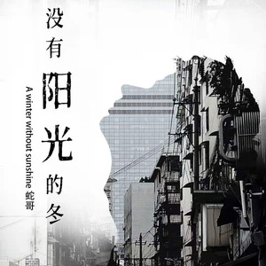没有阳光的冬