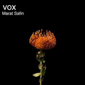 Vox (Instrumental Version)