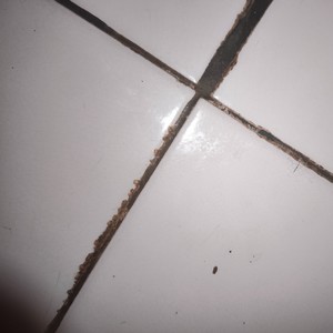 Reading your Journey