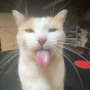 Ay Mi Gatita (Slowed) (Explicit)