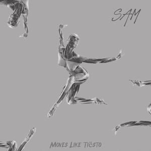 Moves Like Tiësto