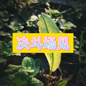 入了心的人 (异域版)