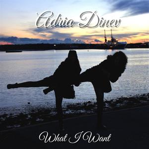 What I Want (Explicit)