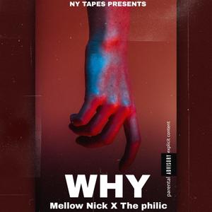 WHY (Explicit)