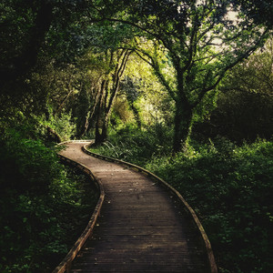 Minha Melhor Versão (Sertanejo)