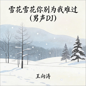 王向涛 - 雪花雪花你别为我难过 (男声DJ)