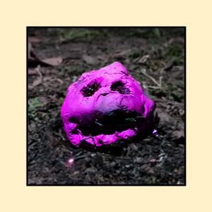 COMEDY (Funny) (Explicit)