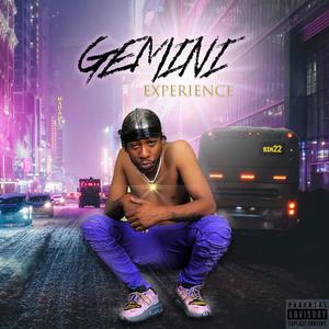 Gemini Experience (Explicit)