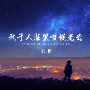 我于人海里慢慢老去