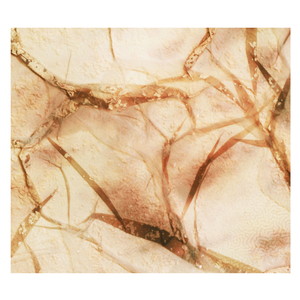 Kayla Painter - Sojourn