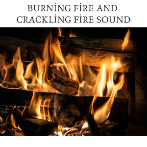 Burning Fire and Crackling Fire Sound