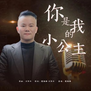 你是我的小公主 (伴奏)