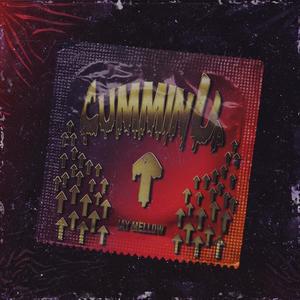 Cummin' Up (Explicit)