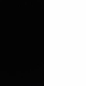 Black y White (feat. $limm) (Explicit)