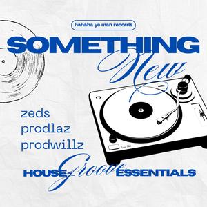 Something New (feat. Zeds & prodwillz)