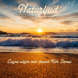 Lugna vågor mot strand Koh Samui