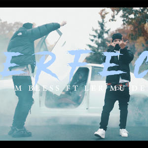 Perfect (feat. LerMuDex) [Explicit]