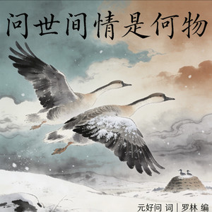 摸鱼儿·雁丘词封面