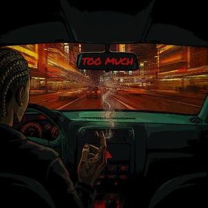 Too Much (Explicit)