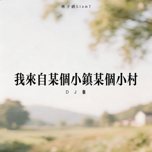 我来自某个小镇某个小村 (DJ版)