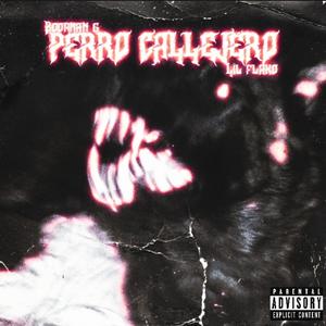 PERRO CALLEJERO (feat. Lil Flako) [Explicit]