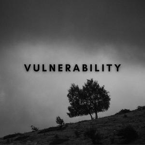 VULNERABILITY