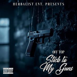 Stick To My Guns (Explicit)