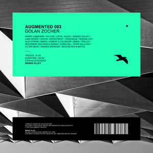 Augmented 003 / Golan Zocher