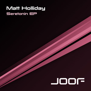 The Hype (Matt Holliday's Progressive Remix)