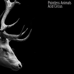 Acid Circus (Original Mix)