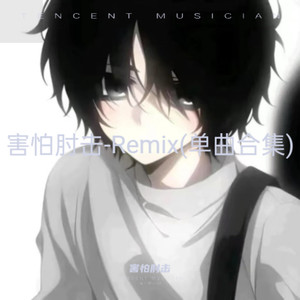 他慢慢不再是一个男孩 (害怕肘击 remix|害怕肘击|打工赚钱养小狗|冰冷心事 remix)