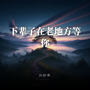 下辈子在老地方等你
