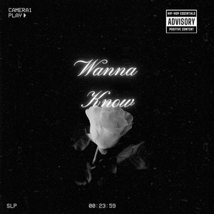 Wanna Know (Explicit)