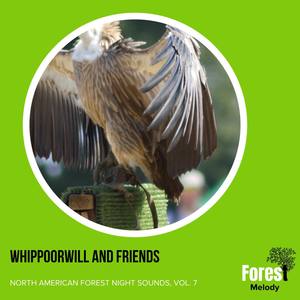 Whippoorwill and Friends - North American Forest Night Sounds, Vol. 7