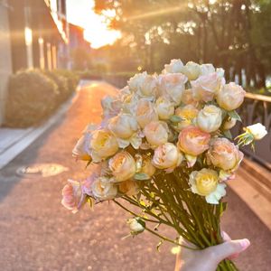 玫瑰代替不了紫罗兰