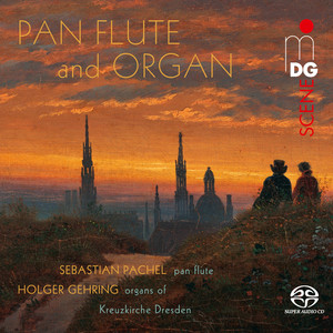 Fantasy No. 5 for Organ Solo n D Minor, Op. 176 - III. Moderato assai - Allegro