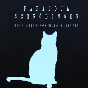 Paradoja Schrödinger (Explicit)