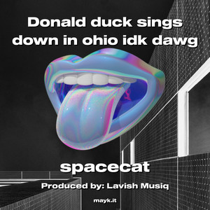 Donald duck sings down in ohio idk dawg